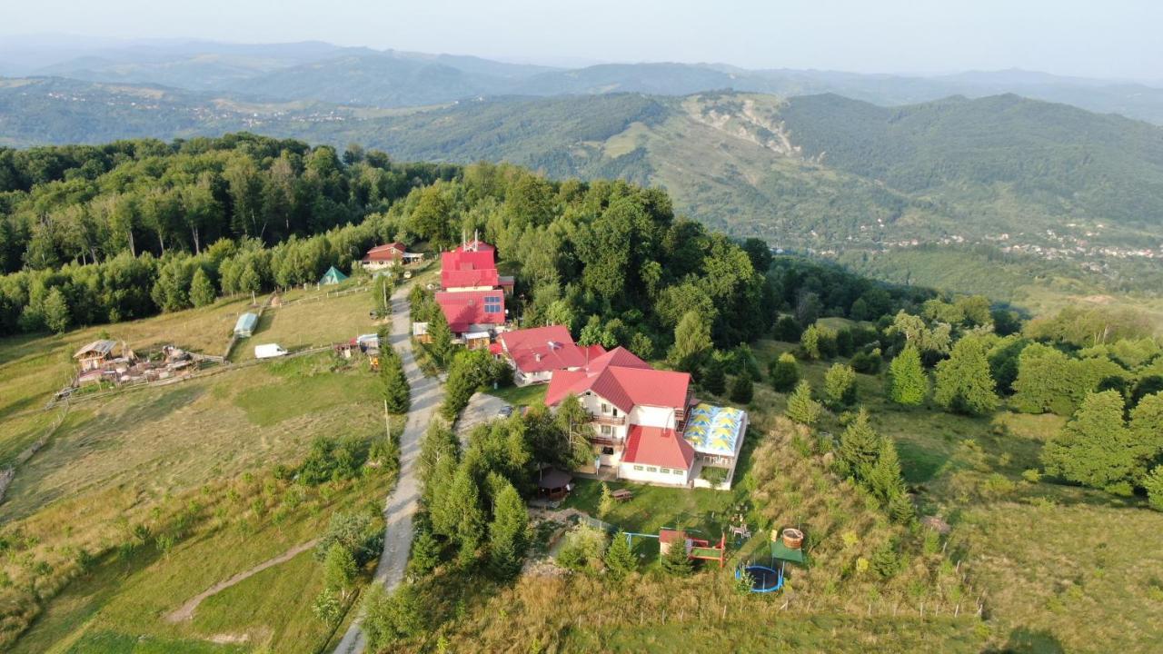 Pensiune Runcu Stone Exterior photo